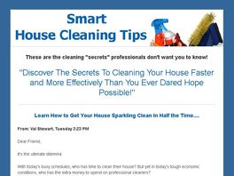 Go to: Cleaning At The Speed Of Life- The Ultimate Guide To Speed Cleaning