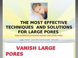 Go to: Vanish Large Pores-best Secrets On How To Treat Large Pores, Seborrhea