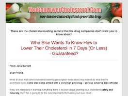 Go to: The Safe Path to Lower Cholesterol eBook