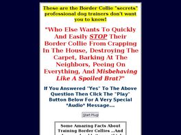 Go to: Border Collie Training.