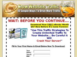 Go to: Grow Website Traffic