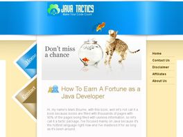 Go to: Java Tactics - Earn A Fortune With Java.