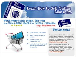 Go to: Learn To Sell Online Like A Pro.