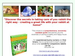Go to: How To Train & Care For Your Rabbit