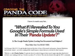 Go to: The Panda Code - How To Regain Your Ranking After The Panda Update