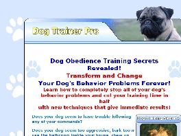 Go to: New Dog Obedience Training Guide