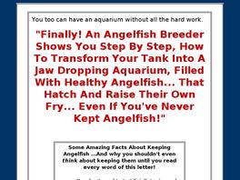 Go to: Angelfish Secrets Revealed.
