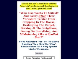 Go to: Yorkshire Terrier Training.