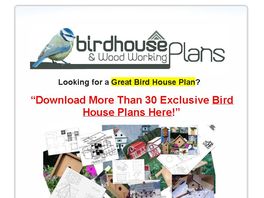 Go to: Bird House Plans, Exclusive Designs!