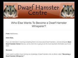 Go to: Becoming a Dwarf Hamster Whisperer