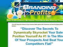 Go to: Translate Offline Success Principles Into A Successful Online Brand