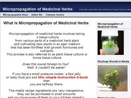 Go to: Micropropagation of Medicinal Herbs/One-of-a-Kind Hot Niche!
