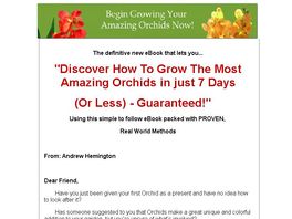 Go to: Learn How To Grow Beautiful Orchids Ebook