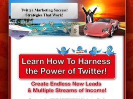 Go to: Successful Twitter Marketing Strategies E-Book