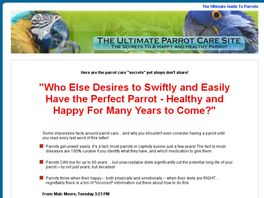 Go to: The Ultimate Parrot Care Guide.