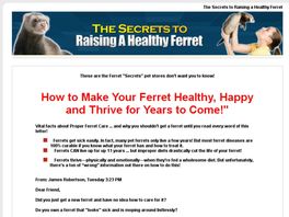 Go to: The Secret to Raising a Healthy Ferret