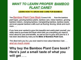 Go to: Bamboo Plant Care Guide - How To Grow And Care For Bamboo
