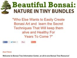 Go to: Bonsai Tree: Nature In Tiny Bundles