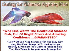 Go to: Caring For Siamese Fighting Fish