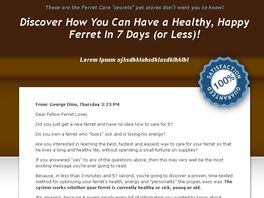 Go to: Ferret Parent: The Ultimate Fuzzy Lover's Guide.