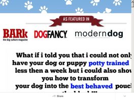 Go to: Dog Trainers Bible - New Sales Video That Converts Like A Monster!!!