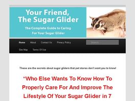 Go to: The Complete Guide To Caring For Your Sugar Glider