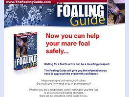 Go to: The Foaling Guide
