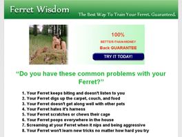Go to: Ferret Wisdom Revealed: Most Comprehensive Ferret Ebooks On The Web