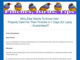 Go to: Finches Birds Tips