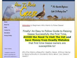 Go to: How To Raise Geese