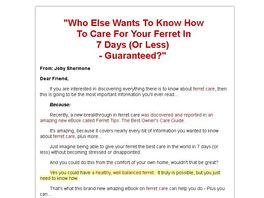 Go to: Ferret Tips The Best Owners Care Guide