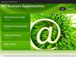 Go to: W3 Business Opportunities