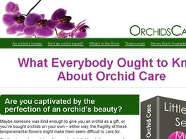Go to: Little Known Secrets to Mastering Orchid Care