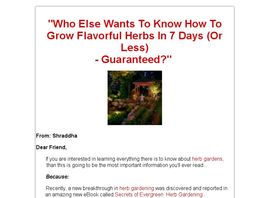Go to: Secrets Of Evergreen Herb Gardening.