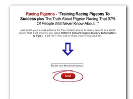 Go to: Racing Pigeons: How To Race, Breed, Win And Makey Money