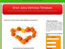 Go to: From Rainforth Home and Garden Growing Juicy, Delicious Tomatoes