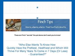 Go to: Finch Tips: The Golden Finch Care Handbook