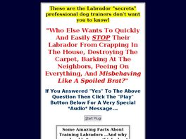 Go to: Labrador Retriever Training.