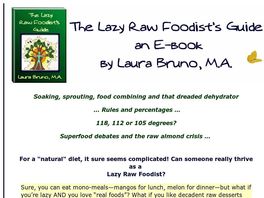 Go to: The Lazy Raw Foodists Guide