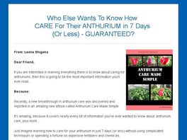 Go to: Anthurium Care Made Simple