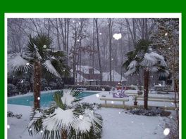Go to: Cold Hardy Palms & Tropicals For Virtually Anywhere