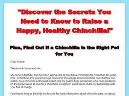 Go to: Chinchilla Care