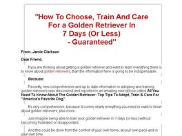 Go to: Finding The Perfect Golden Retriever