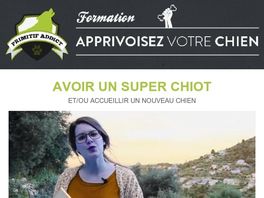 Go to: Avoir Un Super Chiot