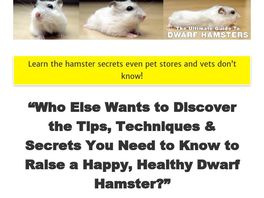 Go to: The Ultimate Guide To Dwarf Hamsters