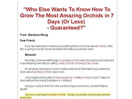 Go to: Lovely Orchids Growing Care Guide