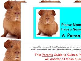 Go to: Please Mom, May I Have A Guinea Pig? A Parents Guide.