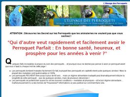 Go to: Excellentes Commissions ! ** Le Guide Ultime Sur Les Perroquets