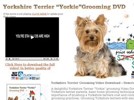Go to: Two Outstanding Instant Dog Grooming Video Downloads