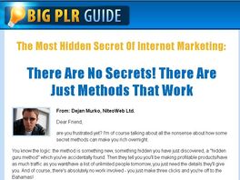 Go to: PLR How To Make Money With Private Label Rights - BigPLRGuide